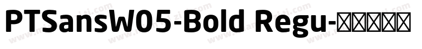 PTSansW05-Bold Regu字体转换